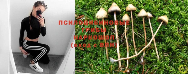 дживик Покачи