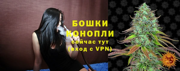 дживик Покачи