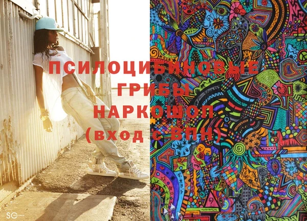 гашик Приозерск