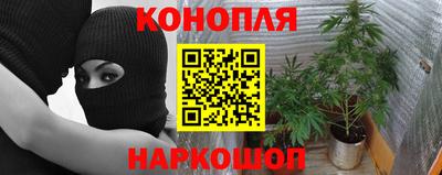 гидропоника Апшеронск