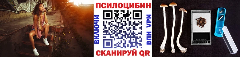 Псилоцибиновые грибы Cubensis  как найти закладки  Краснодар 