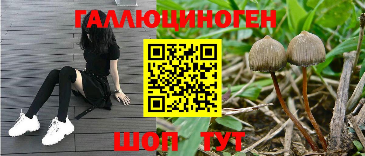 Псилоцибиновые грибы мухоморы  Вход с VPN  Краснодар 